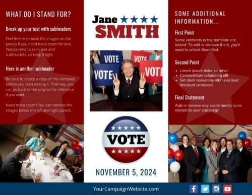 political brochure colors match the campaign theme