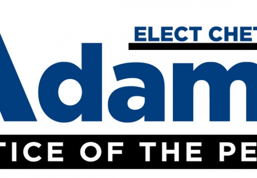 Judicial Campaign Logo