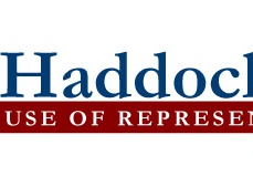 State Representative Campaign Logo 3