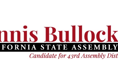 State Representative Campaign Logo DB