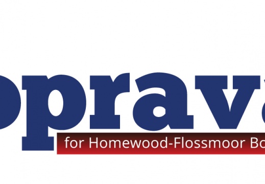 School Board Campaign Logo DP