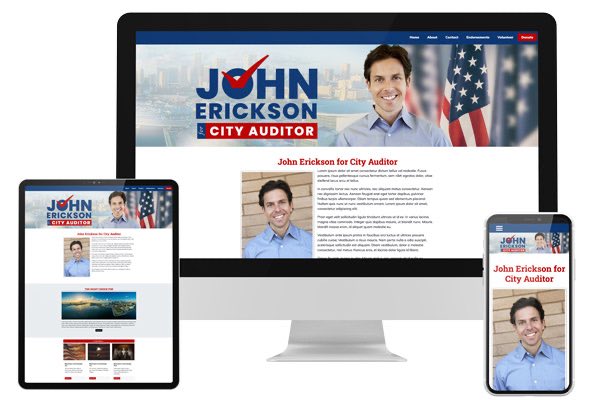 City Auditor Campaign Website Designs