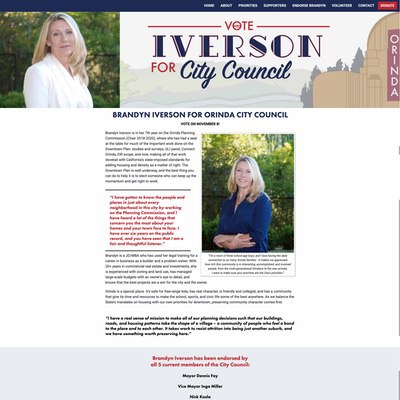 City Council Election Website Example