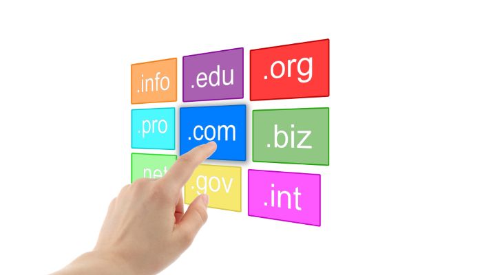 political domain name types