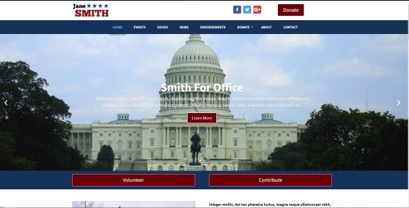 Political WordPress Themes by Online Candidate