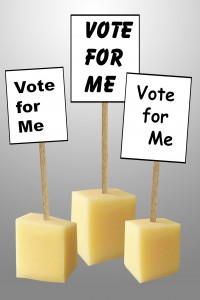 poltical campaign slogans