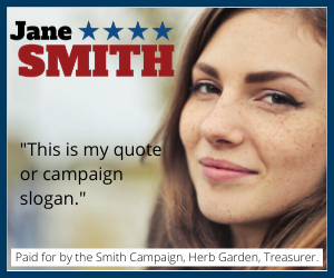 Example of political display ad banner